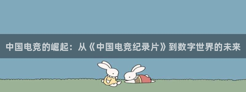 雷火电竞风控：中国电竞的崛起：从《中国电竞纪录片》到数字世界的未来