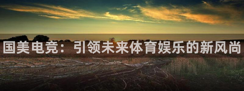 雷火电竞官网在线：国美电竞：引领未来体育娱乐的新风尚