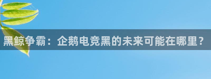 雷火电竞亚洲官网：黑鲸争霸：企鹅电竞黑的未来可能在哪里？