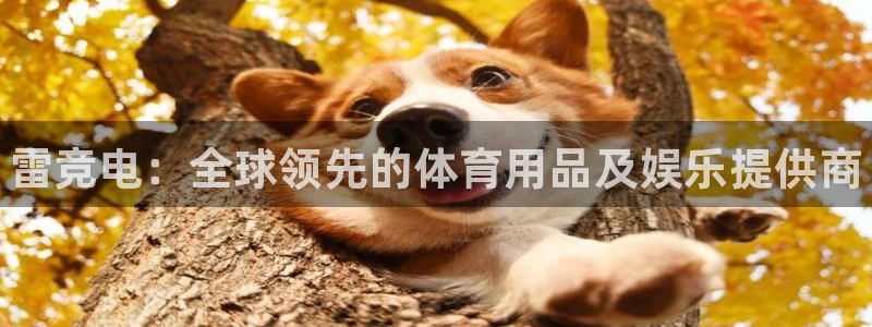 雷火电竞：雷竞电：全球领先的体育用品及娱乐提供商