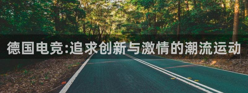 雷火电竞合法吗：德国电竞:追求创新与激情的潮流运动