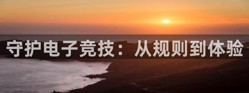 雷火电竞竞技平台官网：守护电子竞技：从规则到体验