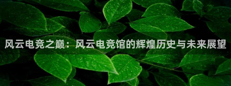 雷火电竞直播：风云电竞之巅：风云电竞馆的辉煌历史与未来展望