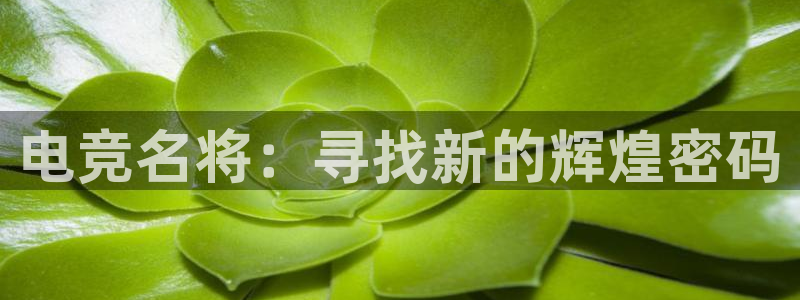 雷火电竞app官网入：电竞名将：寻找新的辉煌密码