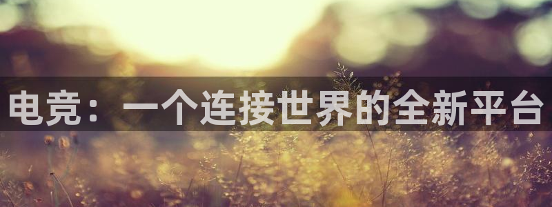 雷火电竞可靠吗：电竞：一个连接世界的全新平台