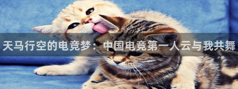 tf雷火电竞网页版