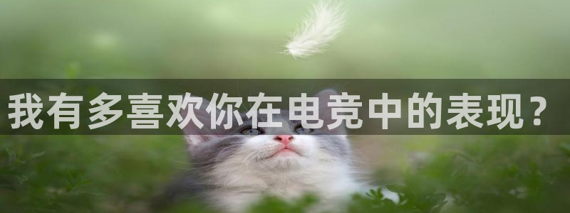 雷火电竞官网首页登录：我有多喜欢你在电竞中的表现？