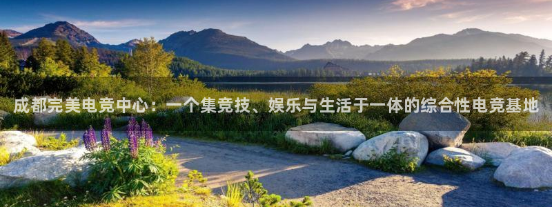 雷火电竞官网在线：成都完美电竞中心：一个集竞技、娱乐与生活于一体的综合性电竞基地