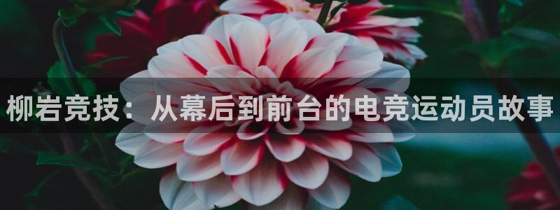 雷火电竞app下载：柳岩竞技：从幕后到前台的电竞运动员故事