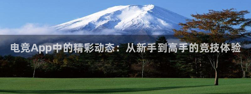 雷火电竞官网首页：电竞App中的精彩动态：从新手到高手的竞技体验