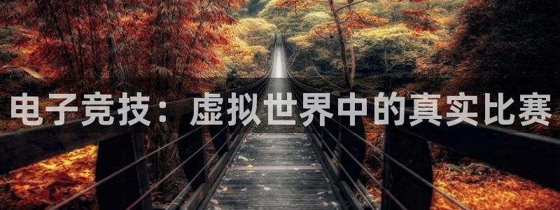 雷火电竞官网入口：电子竞技：虚拟世界中的真实比赛