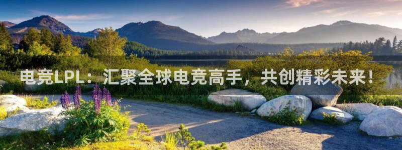 雷火电竞合法吗：电竞LPL：汇聚全球电竞高手，共创精彩未来！