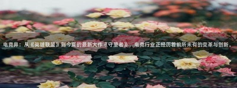 雷火电竞靠谱吗：电竞鼻：从《英雄联盟》到今夏的最新大作《守望者》，电竞行业正经历着前所未有的变革与创新。