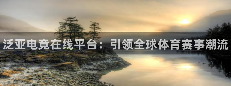 雷火电竞登陆：泛亚电竞在线平台：引领全球体育赛事潮流
