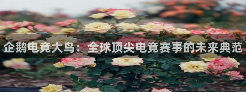 雷火电竞风控：企鹅电竞大鸟：全球顶尖电竞赛事的未来典范