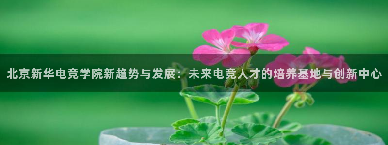 雷火电竞app官网：北京新华电竞学院新趋势与发展：未来电竞人才的培养基地与创新中心