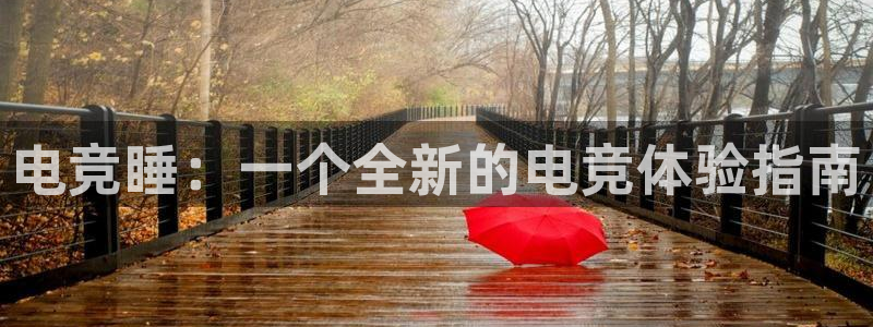 海南雷火电竞：电竞睡：一个全新的电竞体验指南