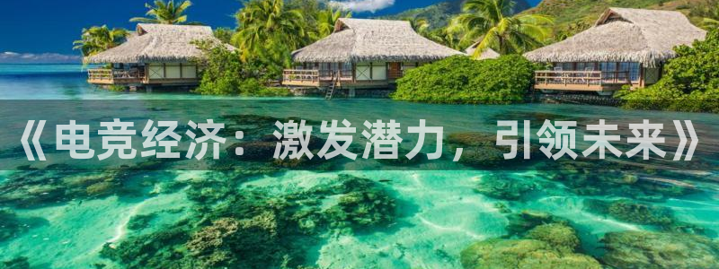 雷火电竞平台：《电竞经济：激发潜力，引领未来》