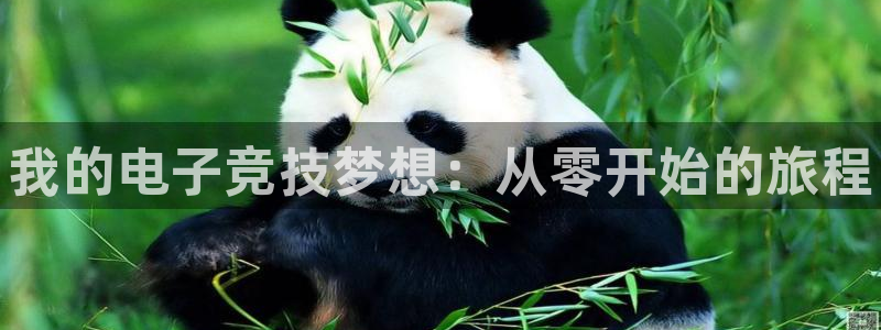 雷火电竞app最新版下载：我的电子竞技梦想：从零开始的旅程