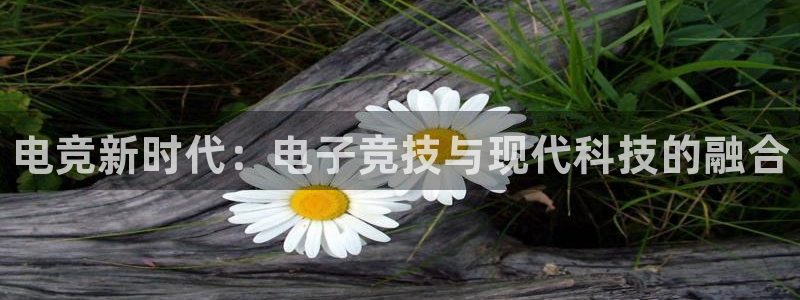 雷火电竞app最新版下载：电竞新时代：电子竞技与现代科技的融合