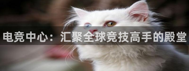 雷火电竞竞猜app：电竞中心：汇聚全球竞技高手的殿堂