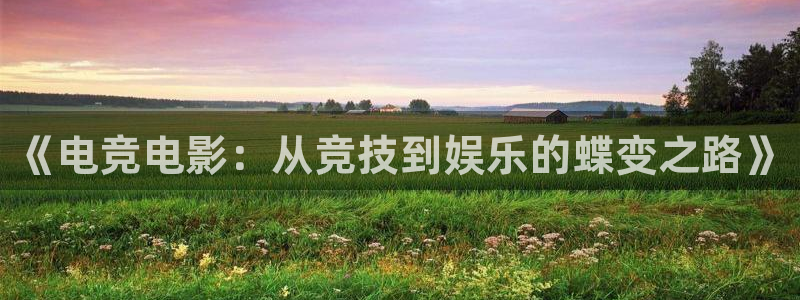 雷火电竞合法吗：《电竞电影：从竞技到娱乐的蝶变之路》