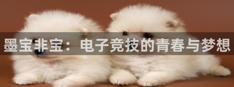雷火电竞技平台：墨宝非宝：电子竞技的青春与梦想