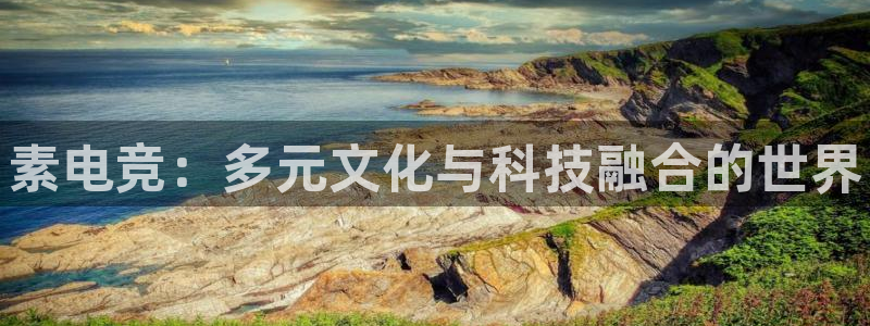 雷火电竞竞技平台官网：素电竞：多元文化与科技融合的世界