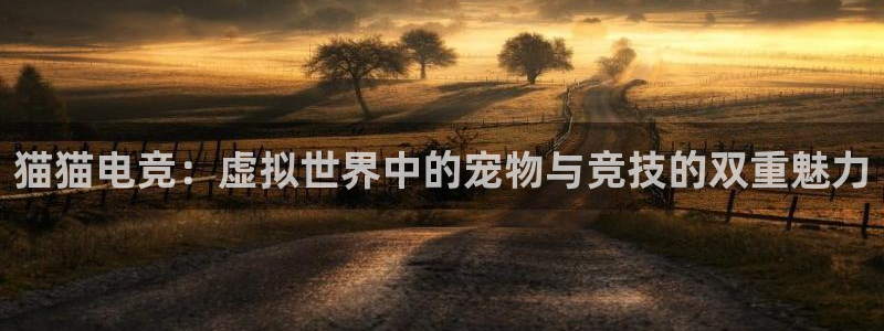 雷火电竞体育平台：猫猫电竞：虚拟世界中的宠物与竞技的双重魅力