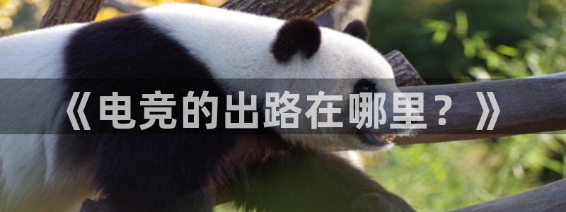 雷火电竞官网