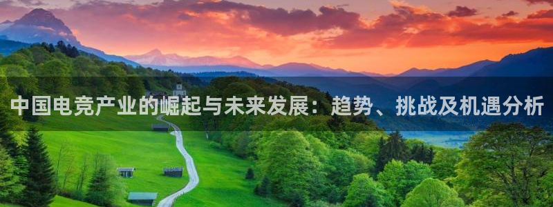 雷火电竞：中国电竞产业的崛起与未来发展：趋势、挑战及机遇分析