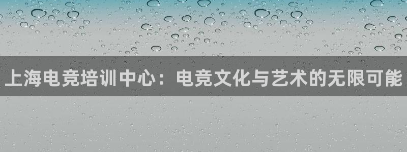 雷火电竞是什么：上海电竞培训中心：电竞文化与艺术的无限可能
