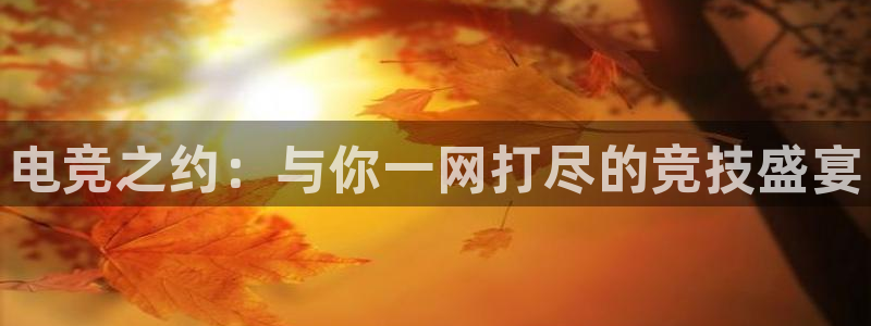 雷火电竞app官网入：电竞之约：与你一网打尽的竞技盛宴