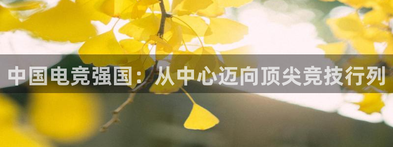 e8125雷火电竞：中国电竞强国：从中心迈向顶尖竞技行列