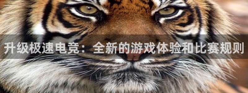 雷火电竞俱乐部
