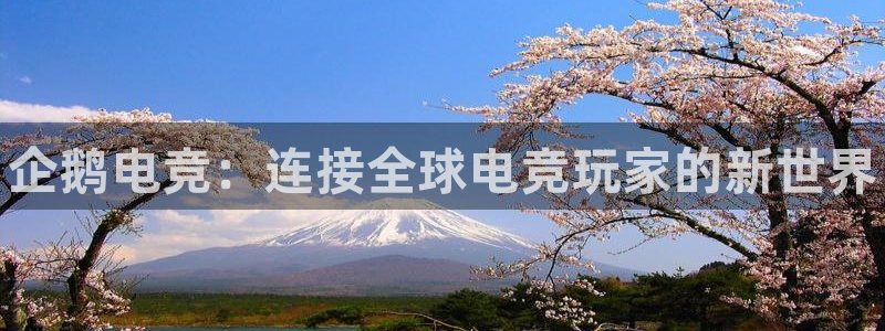 雷火电竞官网在线：企鹅电竞：连接全球电竞玩家的新世界