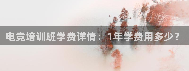 雷火电竞赛事平台：电竞培训班学费详情：1年学费用多少？