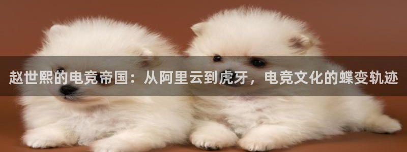 雷火电竞体育：赵世熙的电竞帝国：从阿里云到虎牙，电竞文化的蝶变轨迹