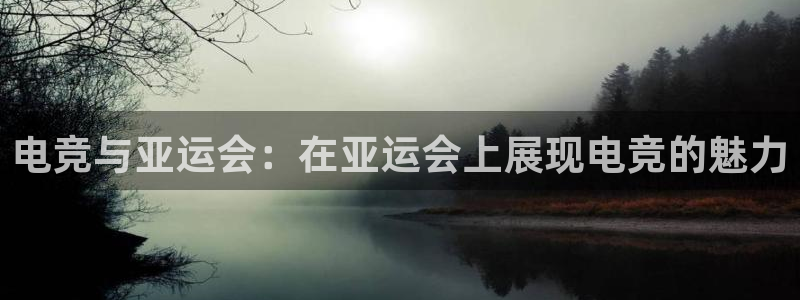 雷火电竞app下载：电竞与亚运会：在亚运会上展现电竞的魅力