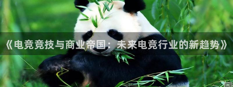雷火电竞体育：《电竞竞技与商业帝国：未来电竞行业的新趋势》