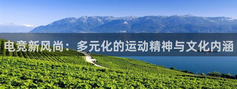 雷火电竞官网下载：电竞新风尚：多元化的运动精神与文化内涵