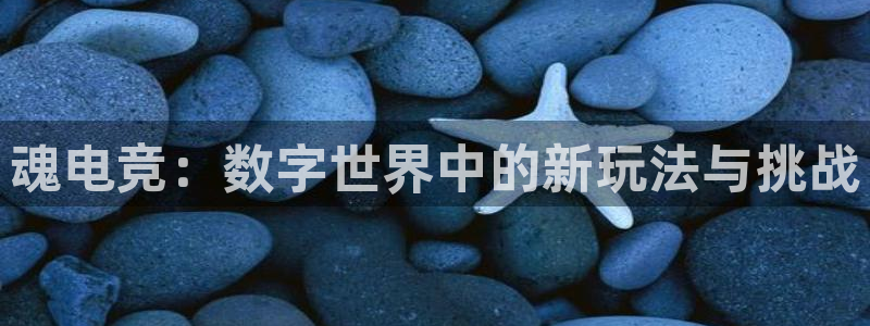 雷火电竞官网首页：魂电竞：数字世界中的新玩法与挑战