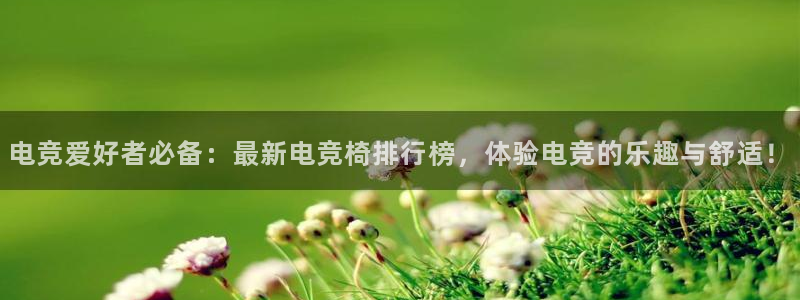 雷火电竞提款多久能到：电竞爱好者必备：最新电竞椅排行榜，体验电竞的乐趣与舒适！