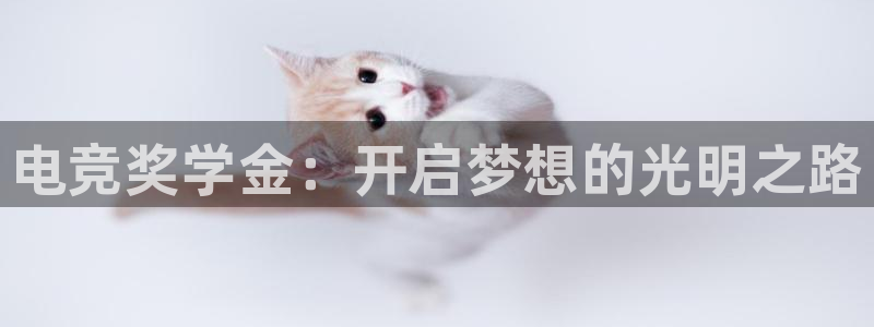 雷火电竞在线登录官网：电竞奖学金：开启梦想的光明之路