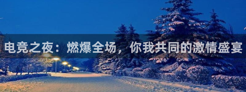 雷火电竞是什么：电竞之夜：燃爆全场，你我共同的激情盛宴