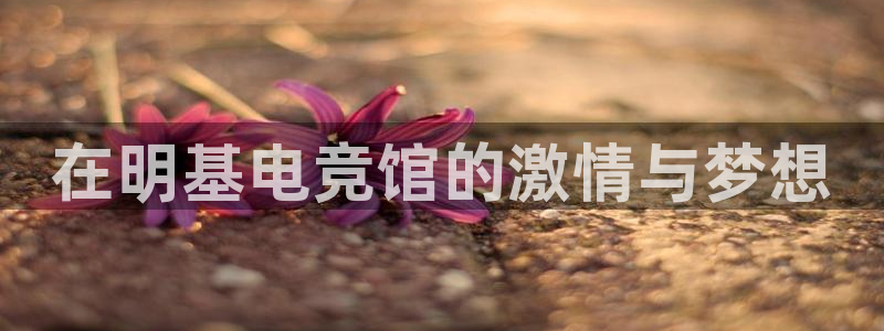 雷火电竞平台app下载：在明基电竞馆的激情与梦想