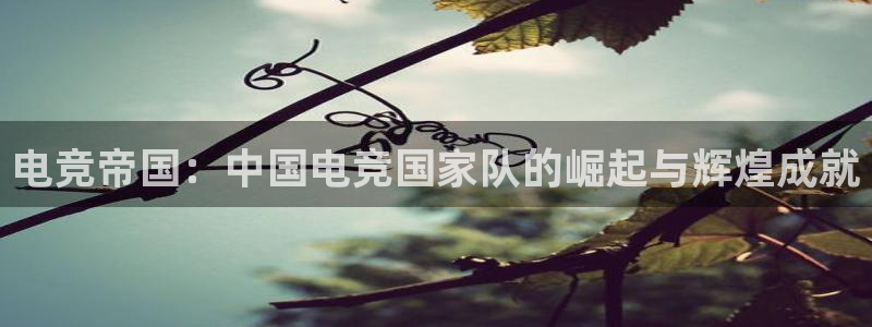 雷火电竞竞技平台官网：电竞帝国：中国电竞国家队的崛起与辉煌成就