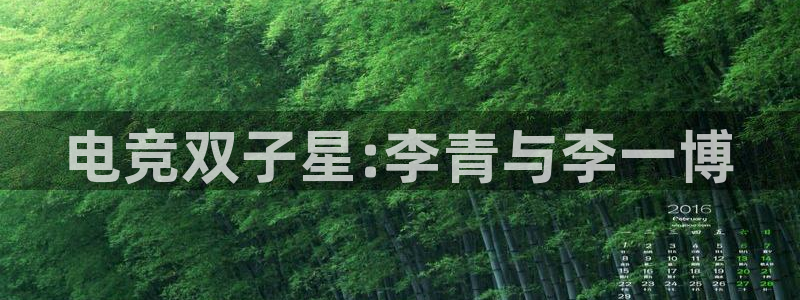 lh1153雷火电竞入口：电竞双子星:李青与李一博